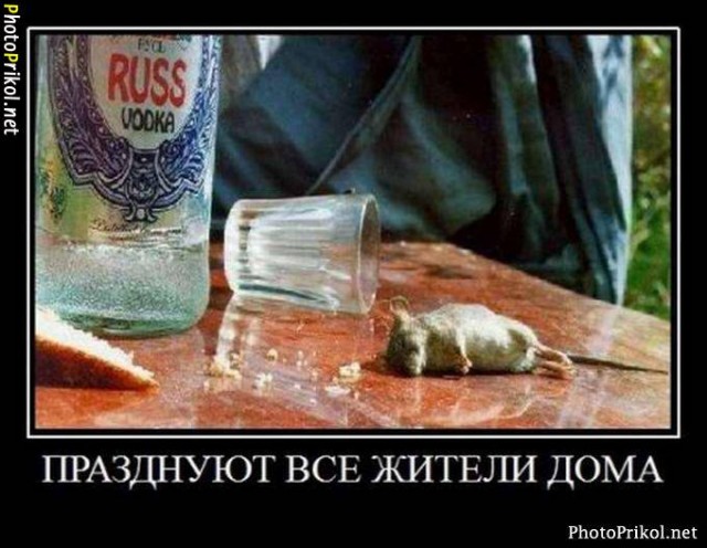 Веселые , смешные демотиваторы обо всем на свете !