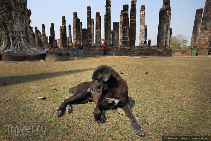 Таиланд. Древняя столица Сукхотай (Sukhothai) / Фото из Таиланда