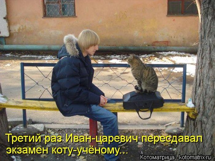 ����������� (49 ����)