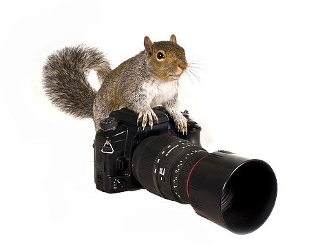 фото: fotolia.com
фото: fotolia.com