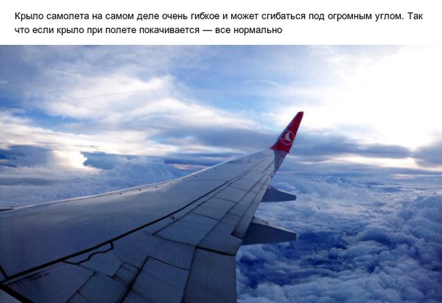 Познавательные факты о полетах на самолетах Познавательные факты о полетах на самолетах