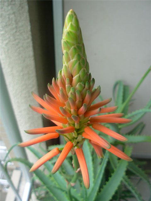 Картинка 11 из 389