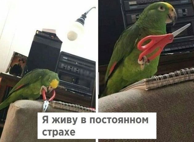 Очередная порция картинок с подписями Очередная порция картинок с подписями