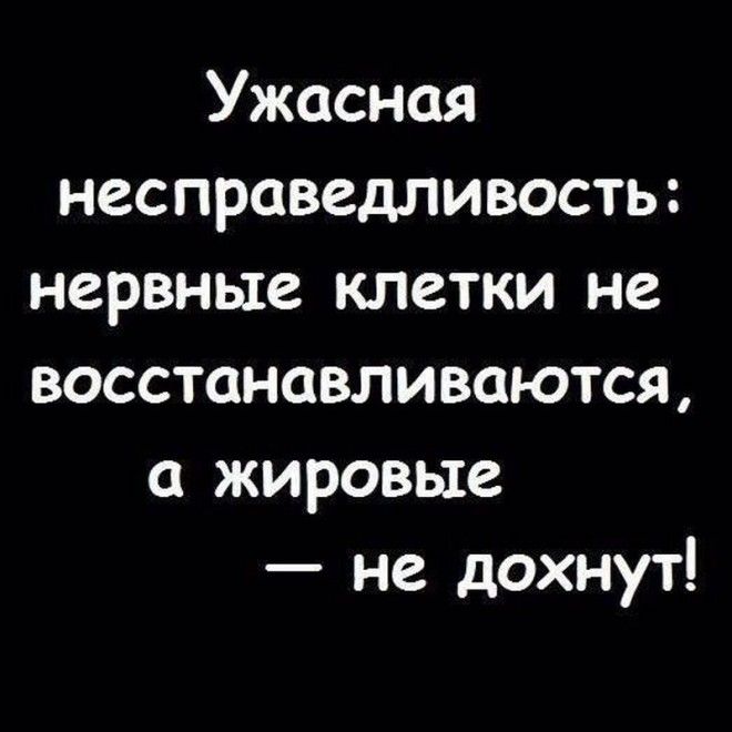 Забавные истории для отличного настроения
