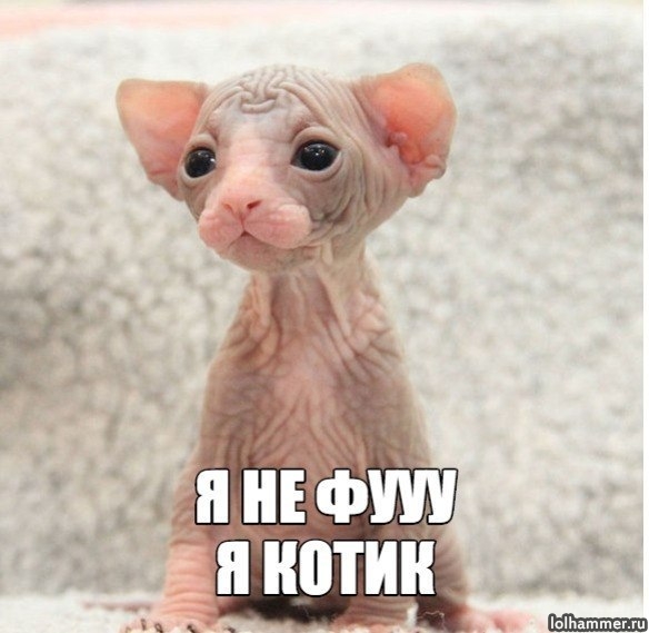 Анекдот про неожиданный вопрос, и еще 20 смешных шуточек