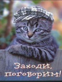 25 000 рублей за ОСАГО. Брать будем?!