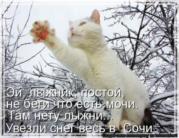 �����������(�������� � ���������)