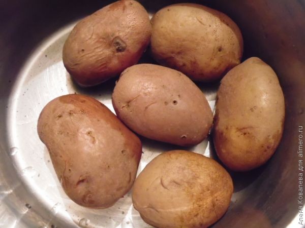 ������������ �������