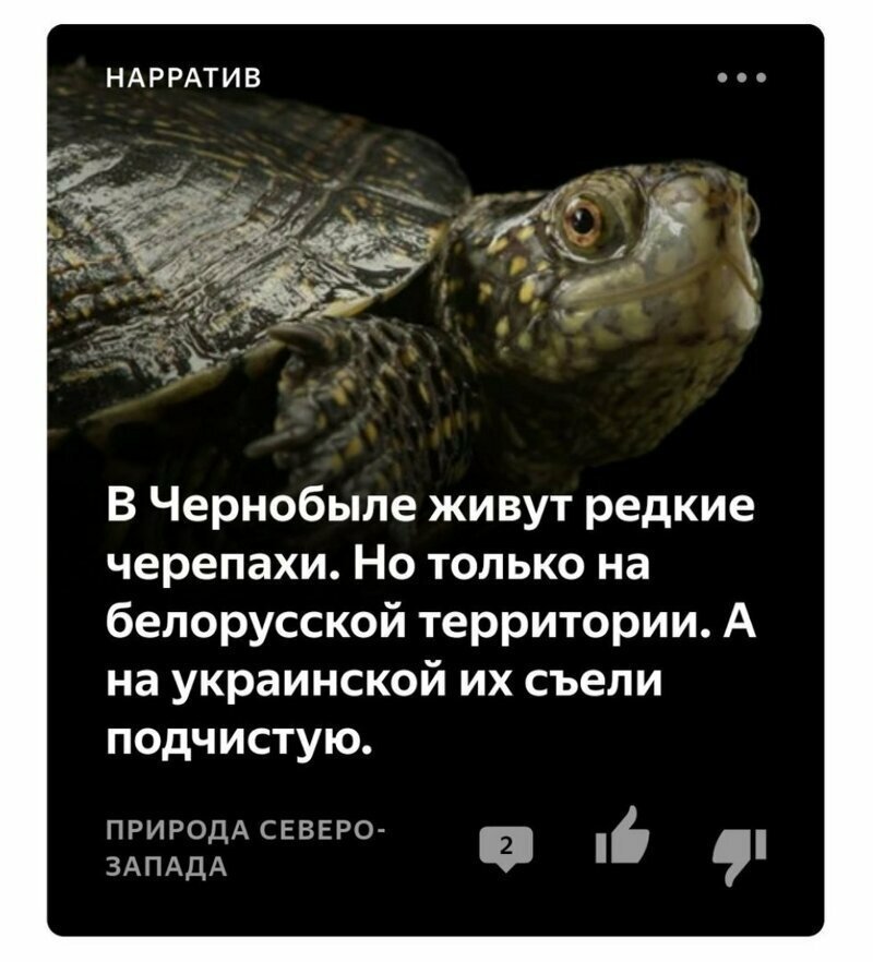 Яндекс.Дзен фигни не посоветует Яндекс.Дзен фигни не посоветует
(18 фото)