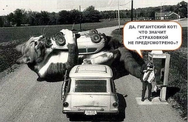 Прикольные картинки абавсём:D Прикольные картинки абавсём:D
