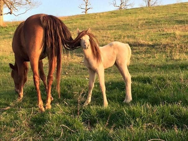25 потрясающих фотографий, на которые вы непременно захотите взглянуть дважды... 25 потрясающих фотографий, на которые вы непременно захотите взглянуть дважды...