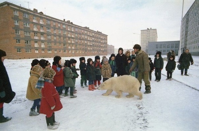 Нас всех раздражали в школе одинаковые вещи, вот 15 из них Нас всех раздражали в школе одинаковые вещи, вот 15 из них