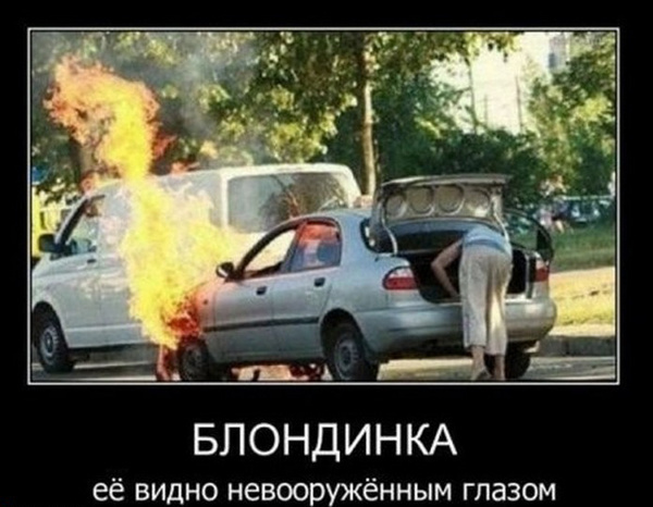 Забавные и веселые демотиваторы для улыбки (12 фото) Забавные и веселые демотиваторы для улыбки (12 фото)