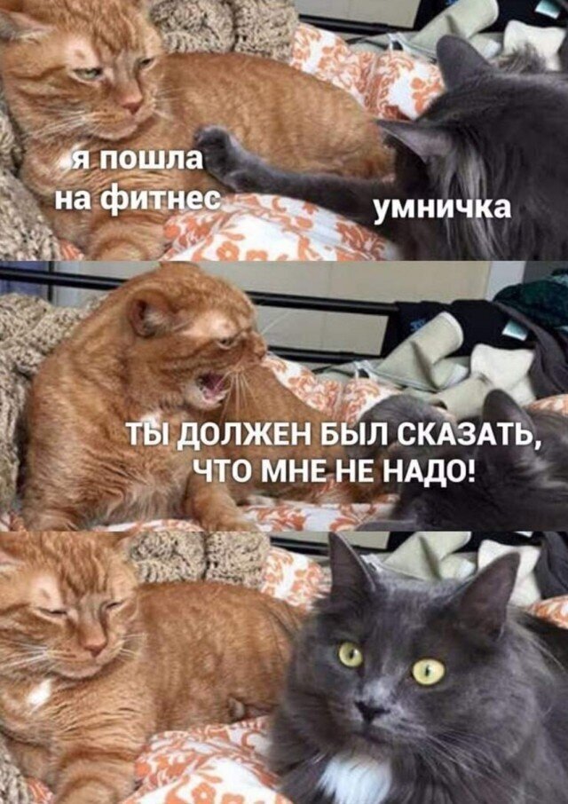 Любовь и отношения в картинках и высказываниях Любовь и отношения в картинках и высказываниях
(20 фото)