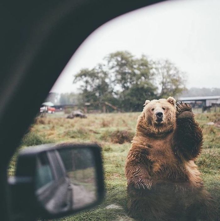 Van Life