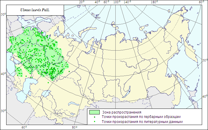 Про фашину, фашизм, фасции и другое.