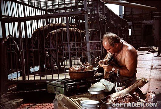 Полосатый рейс, фильм