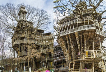 Самый высокий деревянный дом в мире