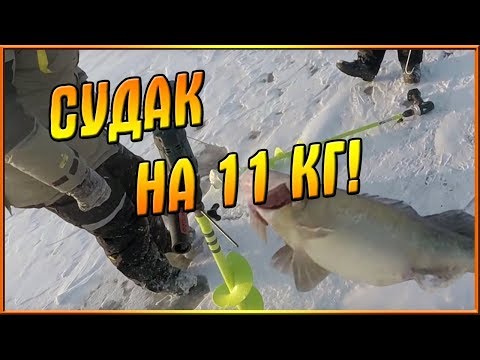 Зимняя рыбалка. Судак на 11 кг! Якорнуться! Зимняя рыбалка. Судак на 11 кг! Якорнуться!