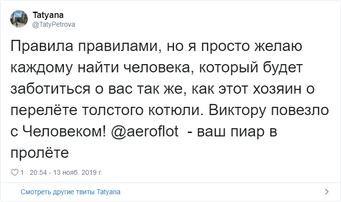 Бро не багаж: как кот, которого не пускали в самолёт, попал в мемы и чем закончилась эта история багаж, Виктора, правила, перевозки, может, в Фейсбуке, история, которого, хозяина, Аэрофлота, животных, Новости, весом, животное, тысяч, вернуть, сдать, бонусных, сообщают РИА, Михаил