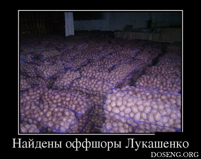 Демотиваторы Демотиваторы