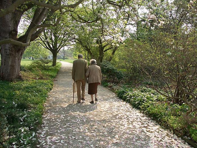 Мудрые фразы о жизни и любви