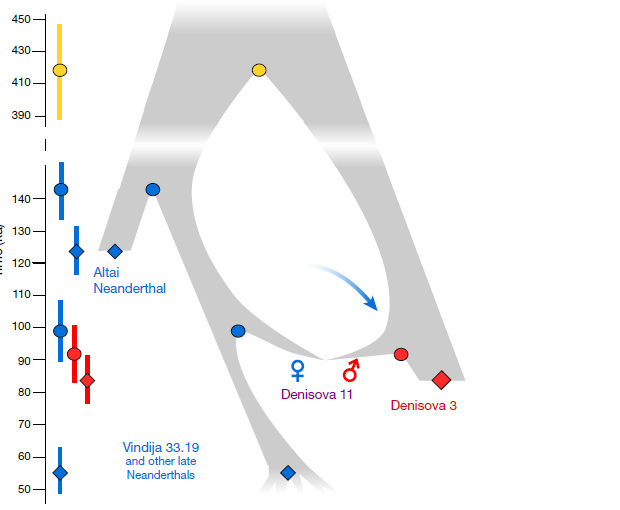 Девочка из Денисовой пещеры оказалась дочерью неандерталки и денисовца