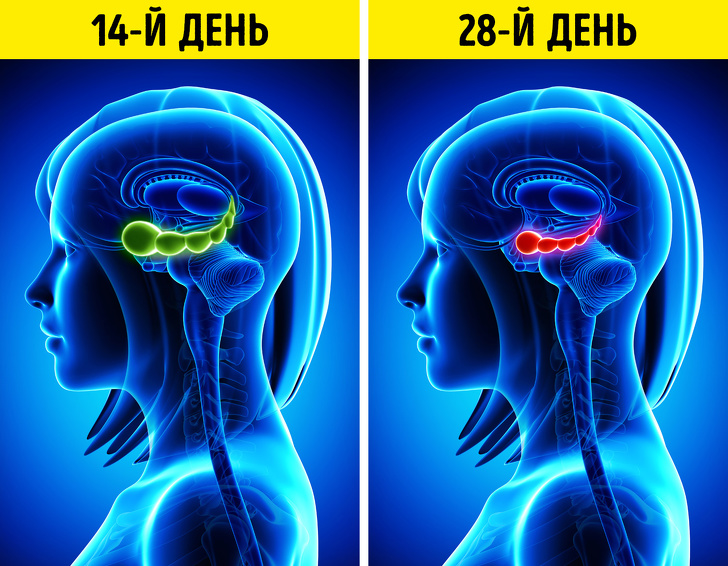 19 загадочных вещей, которые происходят в женском организме ежемесячно, а мы и не знаем об этом