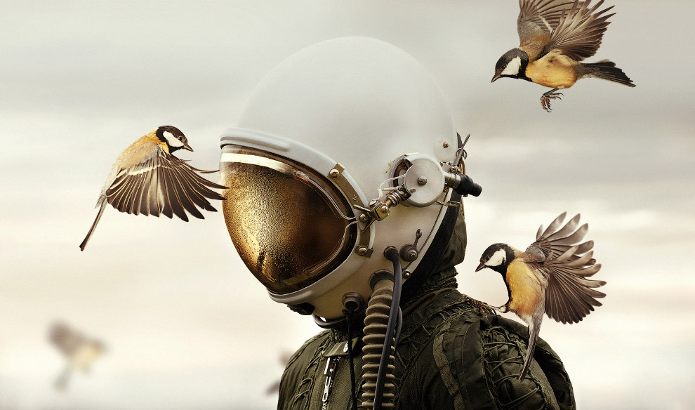 Человек в шлеме и 2 птицы