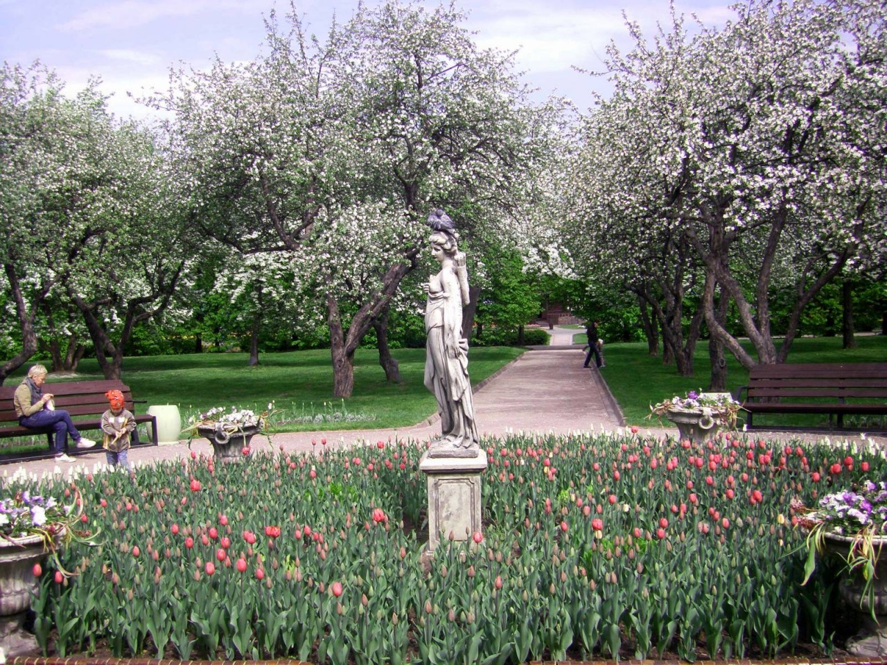 Яблоневый сад в Коломенском