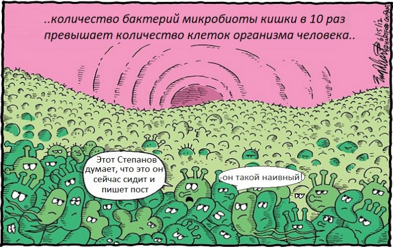 Микробиота ожирения