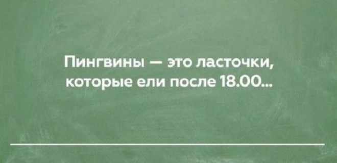 Забавные и жизненные открытки, которые сделают ваш день круче