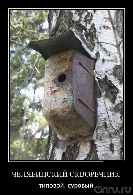 Веселые , смешные демотиваторы обо всем на свете !