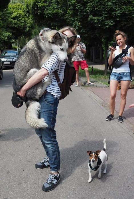 На ручках. На ручках.