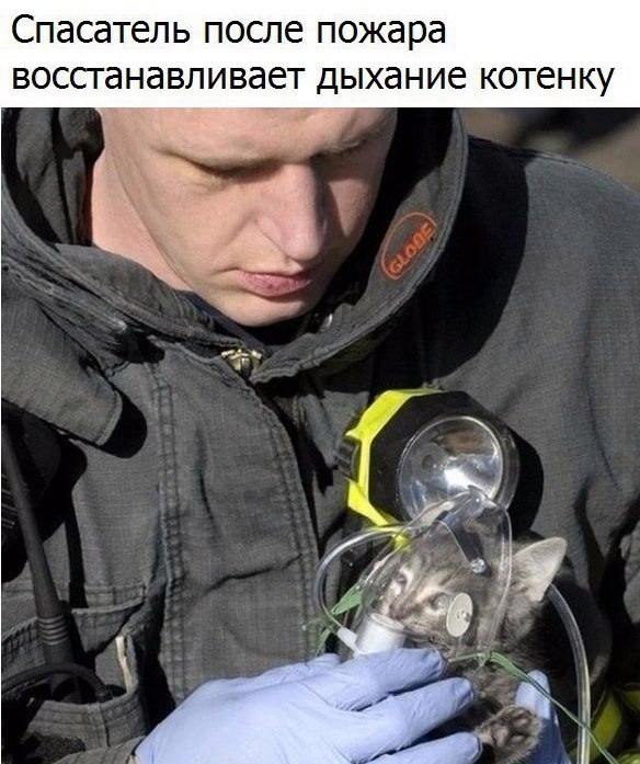 Эмоциональные фото и картинки с надписями со смыслом (11 фото) Эмоциональные фото и картинки с надписями со смыслом (11 фото)