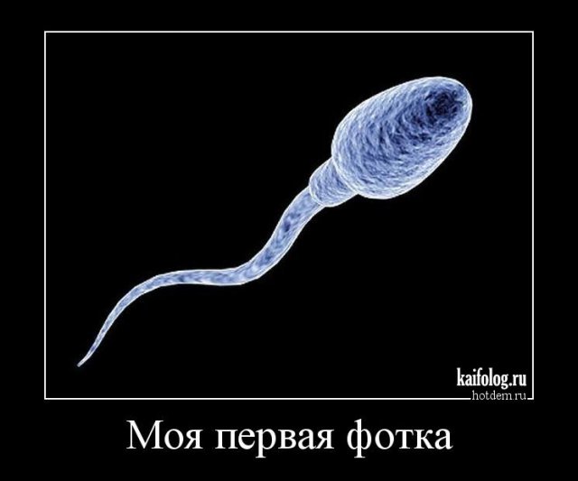 - Надо принимать буддизм. - Зачем? - В христианстве я уже накосячил.