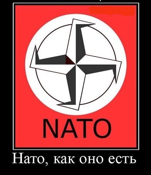 Кризис на Украине "сорвал маску" с НАТО, считают эксперты