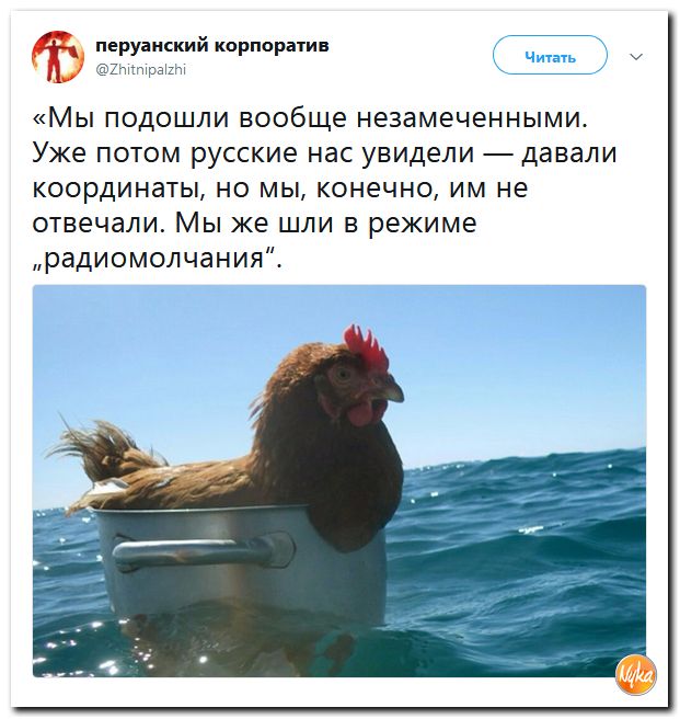 Сарказма вам в ленту!!! Обо всем понемногу с юмором и ехидными комментариями Сарказма вам в ленту!!! Обо всем понемногу с юмором и ехидными комментариями