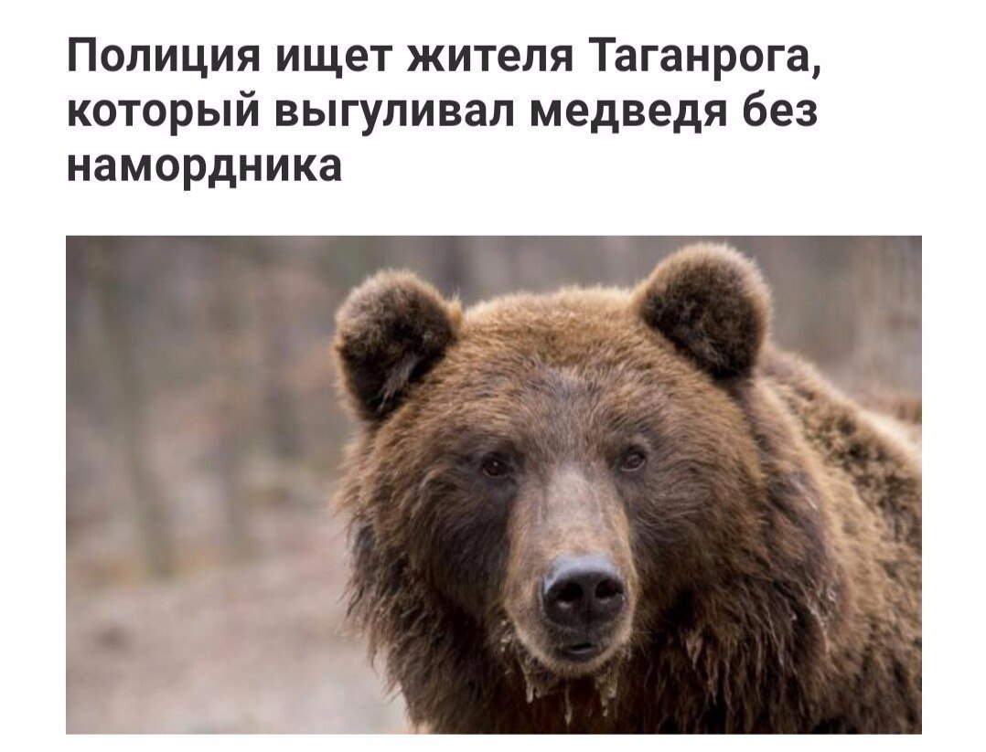 Картина маслом (политсатира, обзор за анеделю) И смех и грех! Картина маслом (политсатира, обзор за анеделю) И смех и грех!