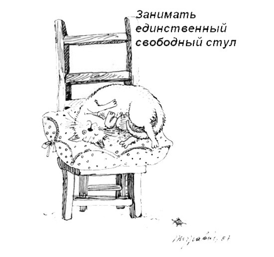 Обязанности кота Обязанности кота дом, кот, обязанности