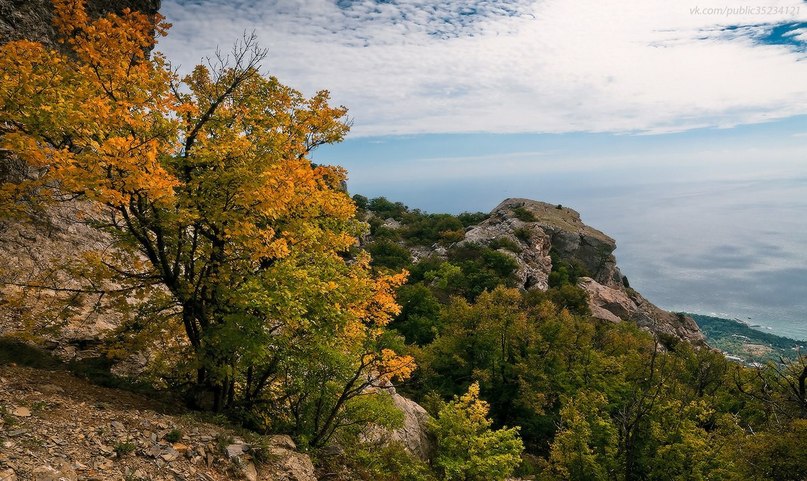 Природа России, ч.2 Природа России, ч.2
