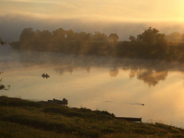 Таруса  таруса, ока