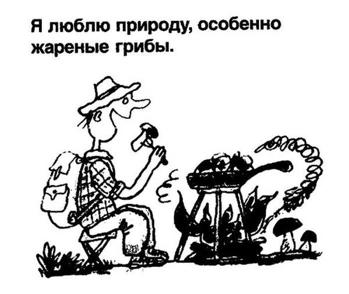 Фрагменты из школьных сочинений Фрагменты из школьных сочинений