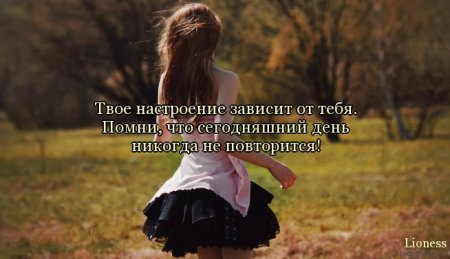 Цитаты, милые цитаты...