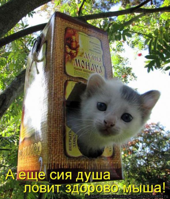 �����������(�������� � ���������)