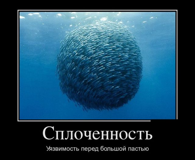 Подборка свежих и забавных демотиваторов со смыслом (11 фото) Подборка свежих и забавных демотиваторов со смыслом (11 фото)