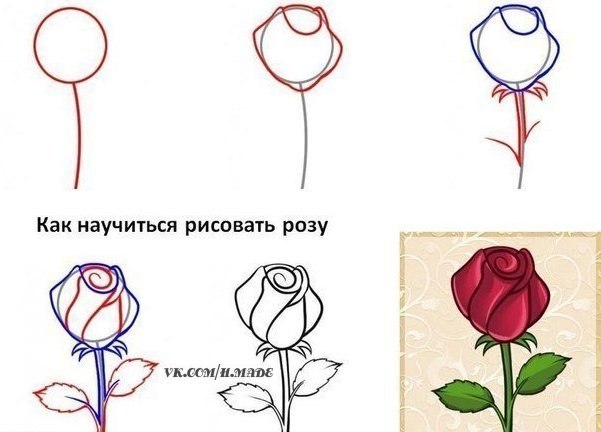 Рисовать с нуля карандашом дома поэтапно Рисовать с нуля карандашом дома поэтапно