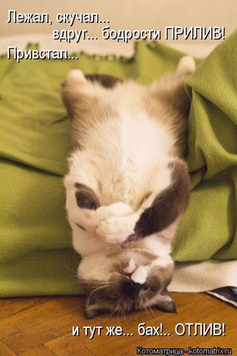 ����������� (49 ����)