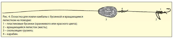 На донку