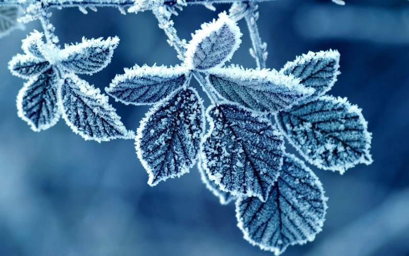 55 «ледяных» фото, которые доказывают, что природа — лучший художник!